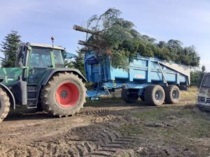 Sapins tracteur