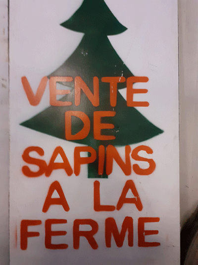 Vente de sapins à la ferme